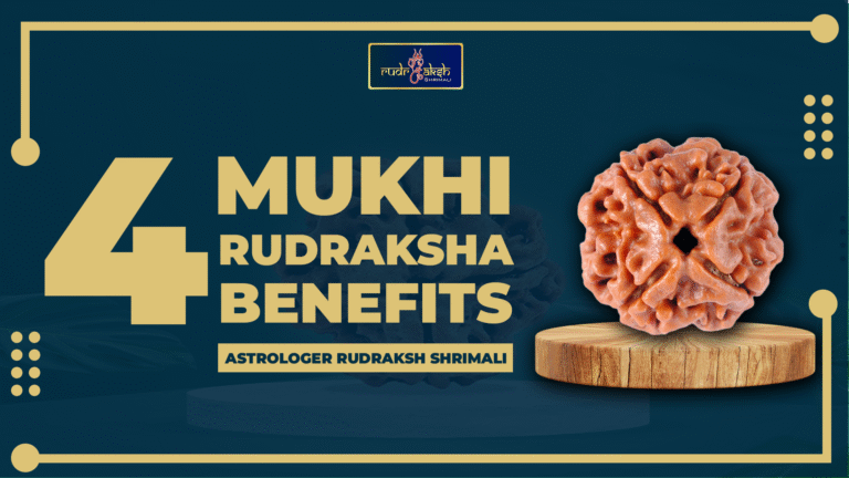 4 Mukhi Rudraksha Benefits & Uses